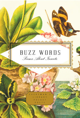 Cover image from Everyman's Library Pocket Classics 2021 edition of Buzz Words. Poems about Insects.  by [Themes]